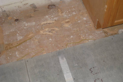 Damaged Prep for Tile 1_web